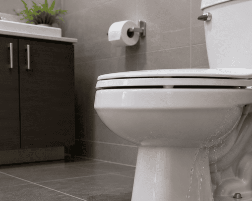 leakage toilet