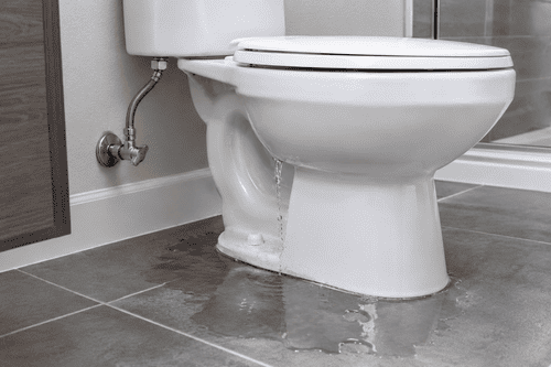 toilet leakage